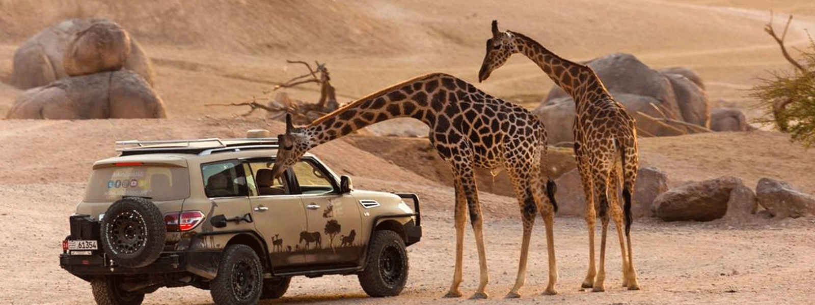 Yas Island Boat Tour (75 Min)