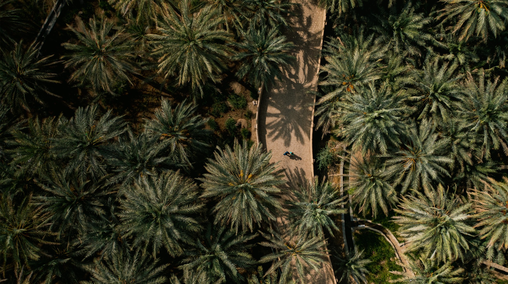 Yas Island Boat Tour (75 Min)