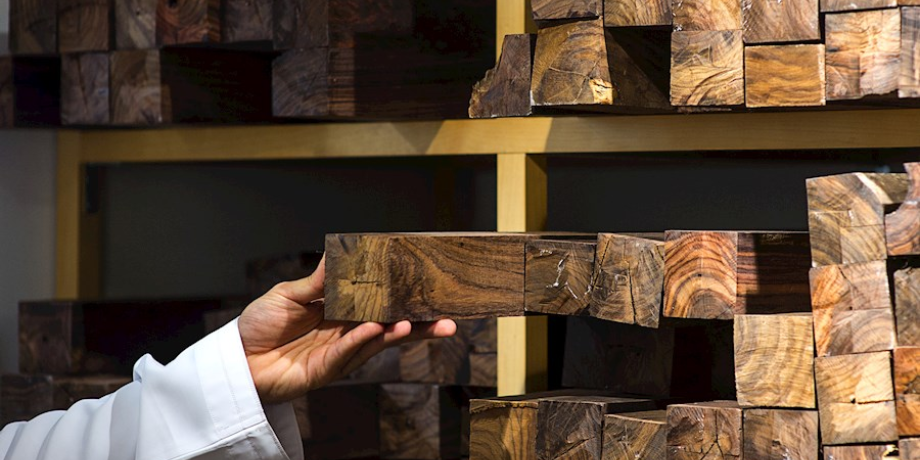 Yas Island Boat Tour (75 Min)