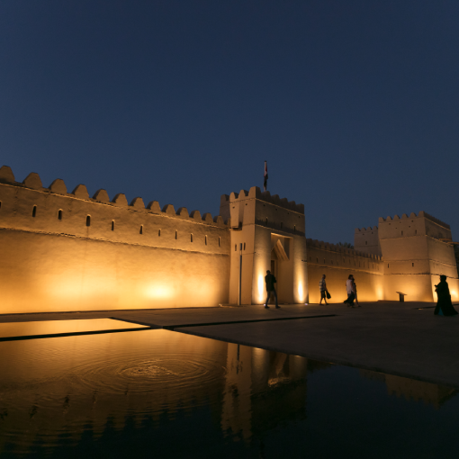 Yas Island Boat Tour (75 Min)