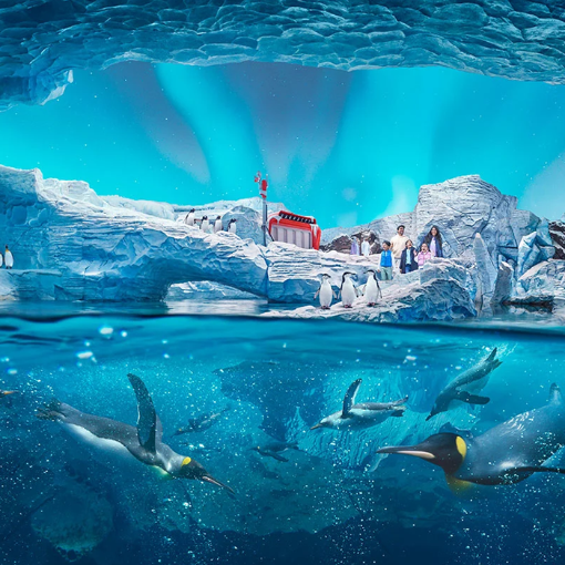 Yas Island Boat Tour (75 Min)