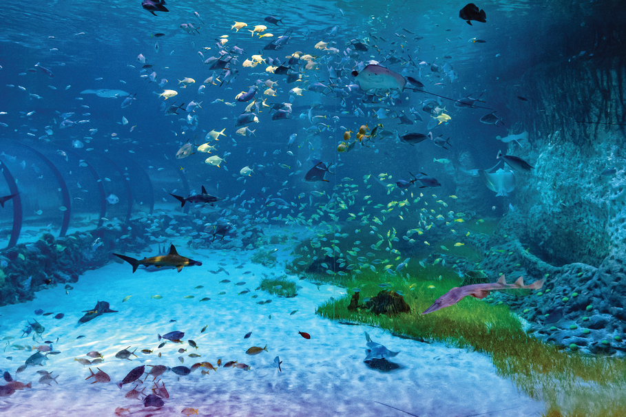 Yas Island Boat Tour (75 Min)