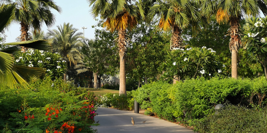 Yas Island Boat Tour (75 Min)