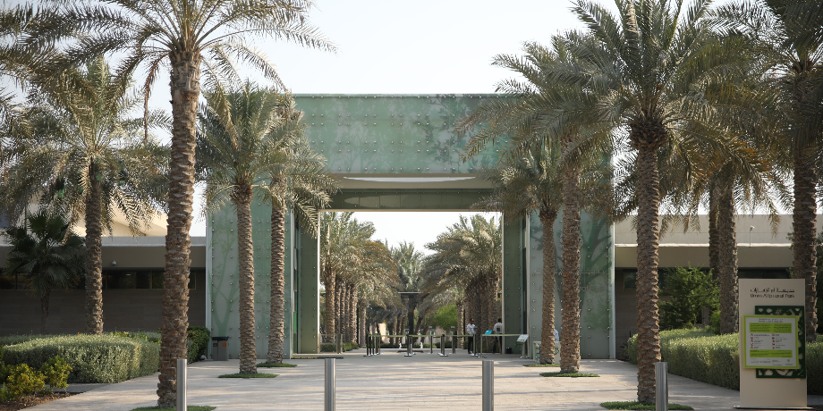 Yas Island Boat Tour (75 Min)